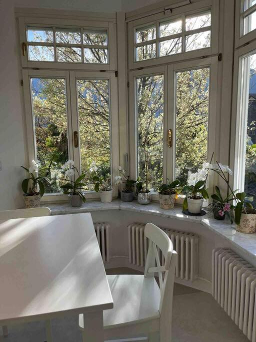 Laurelia Suites Meran Buitenkant foto